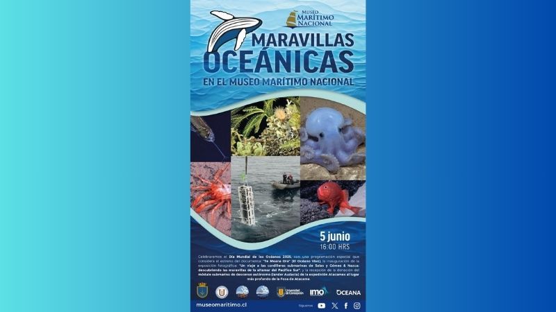 Liga Marítima de Chile destaca actividad organizada por el Museo Marítimo Nacional para conmemorar el Día Mundial de los Océanos 2025